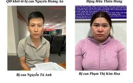 Bắt tạm giam Nguyễn Tú Anh, cấm đi khỏi nơi cư trú đối với Đặng Hữu Thiên Hưng