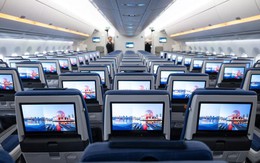Nữ hành khách nhận 'quả báo' vì chiếm chỗ trên máy bay