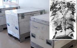 Phát hiện kỳ lạ bên trong những chiếc hộp được kéo lên từ độ sâu 8km dưới đáy đại dương: Làm thay đổi hiểu biết của con người từ trước đến nay