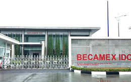 Chốt ngày đấu giá cổ phần lớn nhất lịch sử thị trường chứng khoán