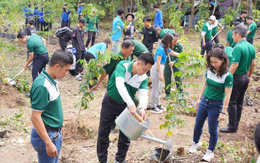 Dọn hơn 20 tấn rác và trồng 600 cây xanh làm đẹp môi trường