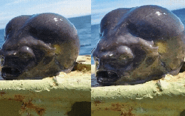 Chấn động sinh vật kì dị được ngư dân vớt lên từ đáy biển: Là dấu vết của người ngoài hành tinh?