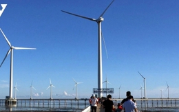 Điện gió ngoài khơi chậm triển khai, nhiều nhà đầu tư muốn rút khỏi Việt Nam