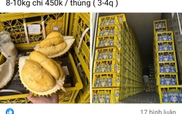 Thực hư “giải cứu” sầu riêng giá siêu rẻ