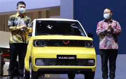 Không phải Trung Quốc "chạm đâu cũng hóa thành vàng": Giấc mơ xe điện của hàng xóm Việt Nam phải tạm biệt?