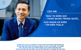 CEO MB: 'Đầu tư điện gió - tham quan Trung Quốc, giải ngân xe điện - tìm đến Tesla'