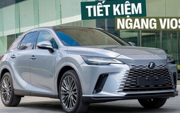 Lexus RX sắp thêm 2 bản ăn xăng như Vios tại Việt Nam: Mạnh gần 250hp, tiêu thụ từ hơn 4,8 lít/100km