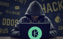 Tin tặc bị cáo buộc 'cuỗm' 48 triệu USD từ dự án blockchain Việt là ai?