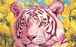 Tử vi ngày mới 6/2: Top 4 con giáp tài vận hanh thông, công việc lẫn tình yêu đều thăng hoa