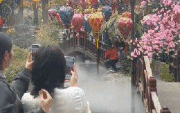 Địa điểm du xuân hot nhất đầu năm 2025: Đẹp tựa tiên cảnh, cách Hà Nội chỉ 30km, có thể đi về trong ngày