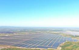 Bộ Công Thương bổ sung 142 dự án điện mặt trời từng bị thanh tra vào quy hoạch