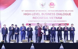 VinFast, Sovico, FPT, Thế Giới Di Động 'ồ ạt' bắt tay với doanh nghiệp Indonesia