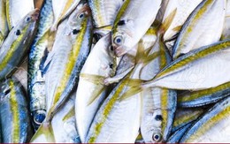 Cách nhận biết cá biển ướp urê