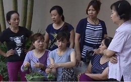 Mẹ chồng lương hưu 14 triệu/tháng vẫn bỏ bê nhà cửa nhận trông con hàng xóm, tôi liền sôi máu lao sang mắng xối xả khiến tất cả bẽ bàng