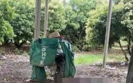 Phát hiện một nhân viên giao hàng tử vong gần một chòi rẫy