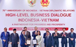 VinFast và BNI Indonesia hợp tác chiến lược toàn diện thúc đẩy chuyển đổi xanh