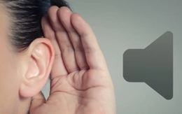 Nghe nhạc quá to, bạn đang đánh đổi điều gì?