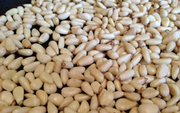 Loại hạt giá rẻ được ví như ‘‘hạt trường thọ’’, công dụng nhiều vô kể, người thích ăn chưa chắc đã biết