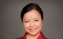 Công ty của nữ đại gia ngành điện phát hành cổ phiếu chỉ bằng 1/7 thị giá