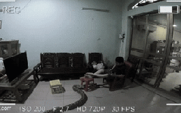 Thanh niên la hét thất thanh, hất văng chiếc TV xuống đất, "vị khách lạ" thình lình trườn vào phòng "ngơ ngác": Đã ai làm gì đâu!