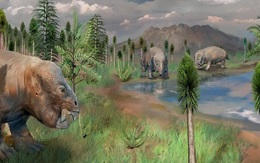 Phát hiện "thành trì chống tận thế" 250 triệu năm ở Trung Quốc