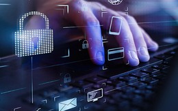 Truy cập website miễn phí này, người dùng có thể bị đánh cắp thông tin tài khoản ngân hàng, email, mật khẩu cá nhân...