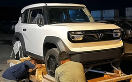 Không chỉ mang sang thứ gây sốt ở Việt Nam, VinFast tính làm điều chưa từng làm tại nước 280 triệu dân