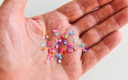 Vật dụng giải phóng hàng chục triệu hạt vi nhựa vào đồ ăn: Gia đình Việt nào cũng có trong bếp