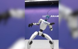 Robot nhảy múa, biểu diễn võ thuật gây sốt mạng xã hội Trung Quốc