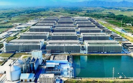 DN đứng sau "chung cư nuôi heo" đầu tiên Việt Nam: Mua công ty thứ 15 sau khi hợp tác với ông lớn Trung Quốc, cần 2.000 lao động cho 100 trang trại