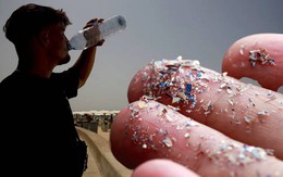 Cảnh báo một loại nước chứa hạt vi nhựa, nam giới uống nhiều có thể gây hại cho sức khỏe sinh sản