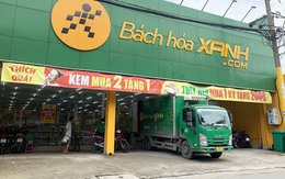 Bách Hóa Xanh mở mới tới gần 100 cửa hàng chỉ trong 2 tháng