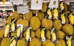 Việt Nam, Thái Lan 'chia đôi nỗi sầu' tại Trung Quốc - Sầu riêng 'tắc đường', xuất khẩu giảm 80%