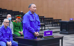 Gây thiệt hại hơn 17 tỉ đồng, cựu vụ phó Nguyễn Trọng Đường lĩnh án 7 năm tù