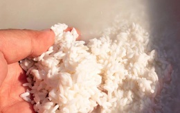 Hợp chất tăng tuổi thọ có trong "thứ bỏ đi" khi nấu rượu gạo?