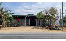 Nguyên Bí thư Tỉnh ủy đề nghị xử lý hành vi thông thầu ở Ninh Thuận