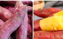 Khoai lang tốt nhưng tuyệt đối không ăn vào 2 thời điểm này