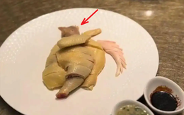 Sững sờ vì nửa con gà luộc giá 1,7 triệu đồng, nhà hàng giải thích: Đây không phải gà thường!