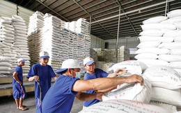 Giá lúa gạo biến động thất thường, Bộ Công Thương lập đoàn kiểm tra