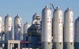 Buồn của nền kinh tế suy thoái 2 năm liên tiếp: Loạt ngành trụ cột bị ‘quật ngã’ bởi Trung Quốc, hàng chục nghìn đợt sa thải, nhà máy ồ ạt đóng cửa, đối mặt thực tế ‘thay đổi hoặc lụi tàn’