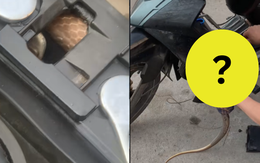 Mở cốp xe, nam thanh niên phát hiện thứ khiến dân tình rùng mình: "Xem mà nổi hết da gà!"