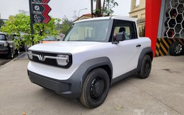 Bản độ VinFast VF 3 bán tải đầu tiên tại Việt Nam