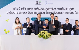 Green Future cho thuê 1.000 ô tô điện - phát triển du lịch xanh tại Đà Nẵng