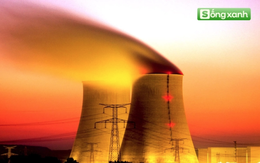 Tái khởi động điện hạt nhân: WHO đánh giá thế nào về chiến lược năng lượng của Việt Nam?