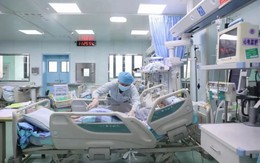 Gia đình 6 người cấp cứu sau khi ăn chung 1 bát canh: Bác sĩ chỉ ra thứ “kịch độc”