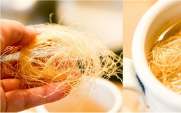 Việt Nam có vị thuốc dễ tìm lại "rẻ như cho", được coi là "tiên dược" bổ thận