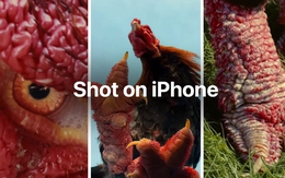 Tuyệt đối điện ảnh: Apple quay phim gà Đông Tảo bằng iPhone, nhưng cư dân mạng lại chỉ chú ý đến… đôi chân