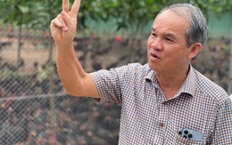 Bầu Đức: Giá chuối xuất khẩu sang Trung Quốc tăng dựng đứng sau 1 tuần căng thẳng thuế quan Mỹ