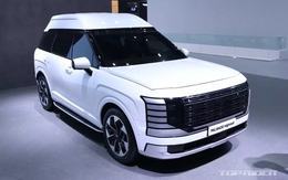 Hyundai Palisade phiên bản trần cao đầu tiên trên thế giới