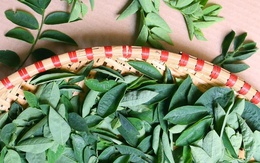 Rau ngót là "thần dược mùa hè" nhưng người có vấn đề về thận nên tránh xa!